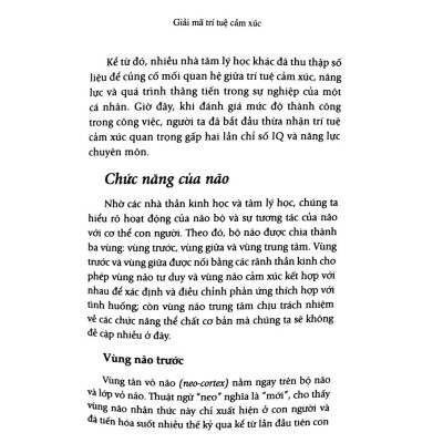 Giải Mã Trí Tuệ Cảm Xúc - Bản Quyền