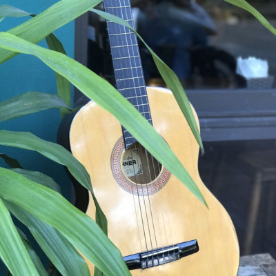 Đàn guitar classic Hohner HC06 - Đức