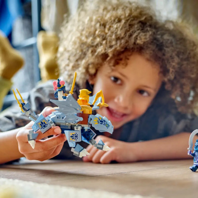 Đồ Chơi Lắp Ráp Rồng Con Riyu - Young Dragon Riyu - Lego Ninjago 71810 (132 Mảnh Ghép)