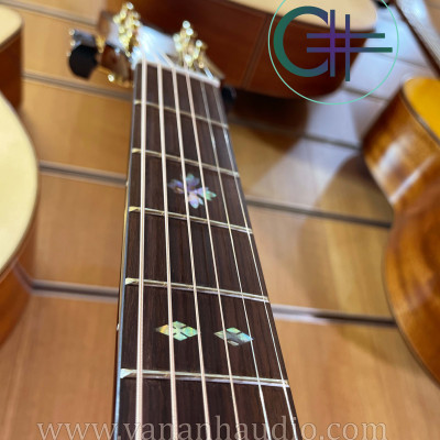 Đàn Guitar Acousctic Custom(2022)