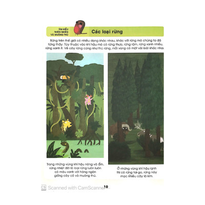 Từ Điển Khoa Học Của Bé - Bé Tập Khám Phá