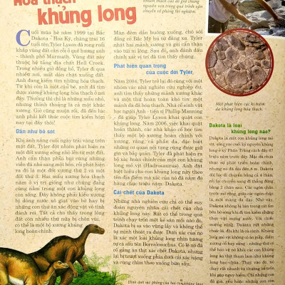 Thế Nào Và Tại Sao: Khủng Long - Trong Đế Chế Của Các Loài Bò Sát (Tái Bản 2022)