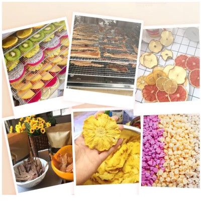 Máy sấy thực phẩm 8 khay thương hiệu Mỹ Septree DBC-08A01 công suất 500W - Hàng nhập khẩu