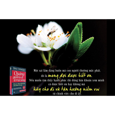 Sách - Quẳng Gánh Lo Đi Và Vui Sống - Bìa Cứng - First News