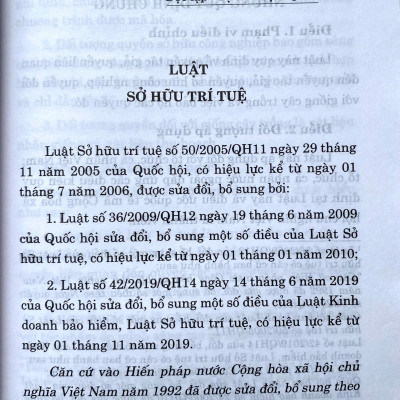 Luật Sở hữu trí tuệ năm 2005 ( Sửa dổi, bổ sung năm 2009,2019 )