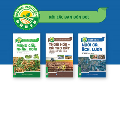 Hướng Dẫn Nuôi Cá, Ếch, Lươn (Tái bản 2025)