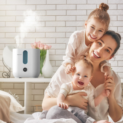 Máy tạo ẩm Sóng âm BONECO U350 Hàng chính hãng