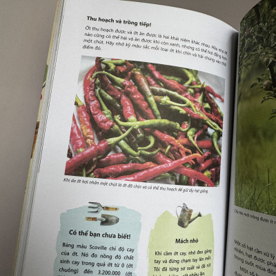 BẾP KHÔNG RÁC – TÁI SINH RAU CỦ - Katie Elzer Peters – Quế Chi dịch – NXB Thế giới – ThaiHa Books