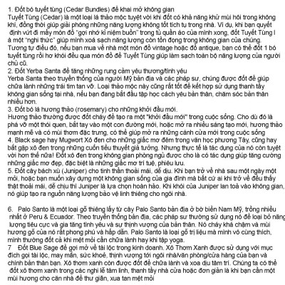 {Bó dùng thử} Xô Thơm Trắng Thanh Tẩy [ White Sage]