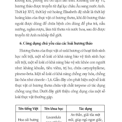 Nông Nghiệp Xanh, Sạch - Kỹ Thuật Trồng Các Loại Cây Hương Thảo