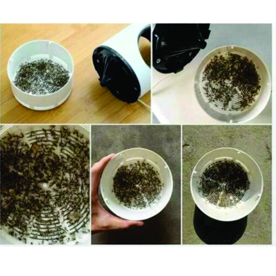 Đèn Máy Bắt Muỗi Thông Minh Sử Dụng ánh sáng Sóng Âm - Máy Bắt Muỗi Tiêu Diệt Côn Trùng An Toàn Cho Gia Đình