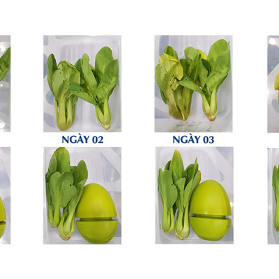 THIẾT BỊ TẠO OZONE DIỆT KHUẨN, KHỬ MÙI TỦ LẠNH GUARDIAN ANGEL - HÀNG NHẬP KHẨU