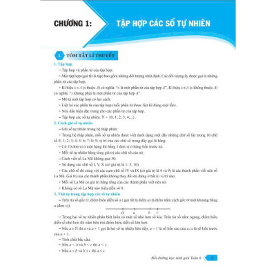 Sách - Bồi Dưỡng Học Sinh Giỏi Toán 6 - Theo chương trình mới - ND