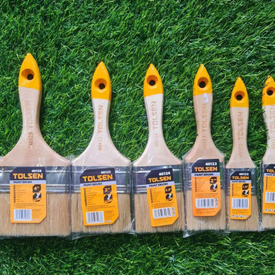 CÂY CỌ SƠN TOLSEN (TỪ 1