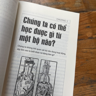TƯ DUY NHƯ NHÀ TÂM LÝ HỌC – Nắm bắt hoạt động của tâm trí con người – Anne Rooney – Nguyễn Thị Thanh Hằng và Phạm Công Thành dịch – Nhã Nam – NXB Thế Giới (Bìa mềm)