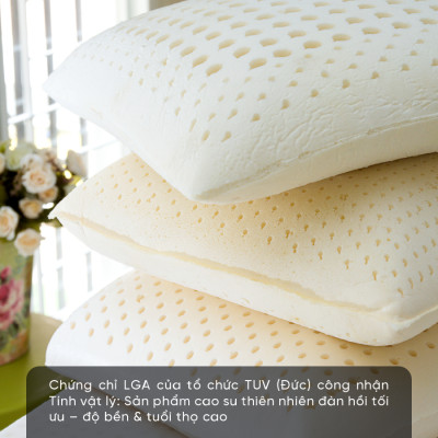 Gối Cao Su Kim Cương Ovany KCGO4060 (40 x 60 cm) - Trắng