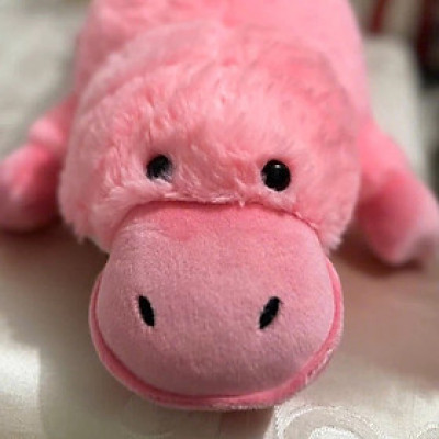 Thú nhồi bông rái cá mỏ vịt đáng yêu - Size 55cm đến 70cm - Quà tặng gấu bông thú mỏ vịt êm mịn cho bé.