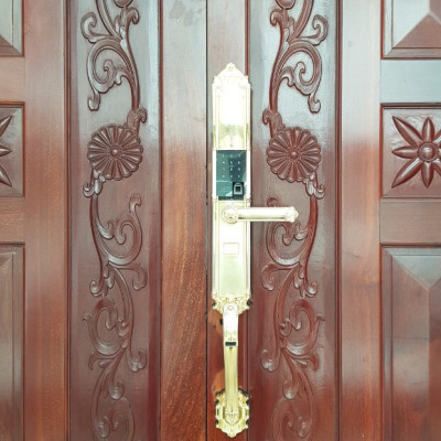 Khóa vân tay tân cổ đại sảnh DEMAX SL821 Gold