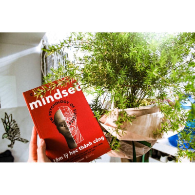 Sách Tâm lý học thành công - Alphabooks - BẢN QUYỀN