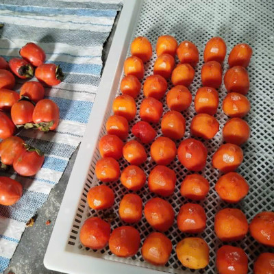 Hồng sấy dẻo Đà Lạt 500g