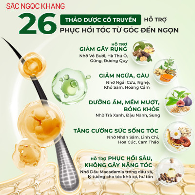 Bộ Đôi Gội Xả 26 Thảo Dược Sắc Ngọc Khang - Làm Sạch, Hỗ Trợ Phục Hồi & Chăm Sóc Tóc Mềm Mượt, Giảm Gãy Rụng