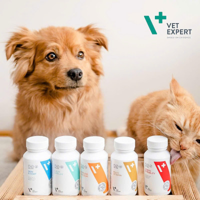 [ 30 viên ] Vet Expert bổ sung vitamin & khoáng , tăng cường miễn dịch, chăm sóc da và lông , xương khớp cho chó và mèo