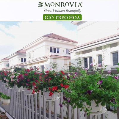 Combo 3 Giỏ treo chậu hoa ban công MONROVIA, giỏ sắt treo chậu hoa ban công, chậu treo ban công, kệ treo ban công, móc treo, khung thép, sơn tĩnh điện chính hãng thương hiệu MONROVIA 