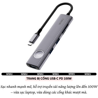 Hub chuyển đổi chia cổng USB-C 8in1 sạc nhanh 100W trang bị 2 USB 3.0 + 3 PD Type-C + Micro SD SD + HDMI 4K@60Hz hiệu WIWU Travel cho Macbook Laptop cho iPhone - Hợp kim nhôm, đa năng để vừa sạc vừa xuất màn hình và truyền dữ liệu  - Hàng nhập khẩu