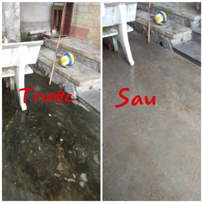 Dung Dịch  Diệt Rong Rêu – Làm Sạch Tường, Mái Nhà, Sân Vườn Nhanh Chóng Túi 500gram