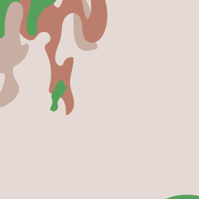 Sách - Mũ Nồi Xanh Việt Nam - Người Đi Gieo Hạt Hòa Bình