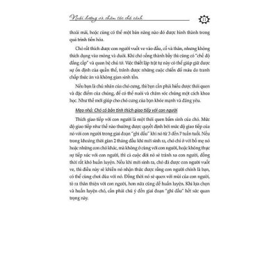 Sách - 100 Mẹo Nuôi Và Chăm Sóc Thú Cưng - Chu Truyền Lâm - VIETNAMBOOK