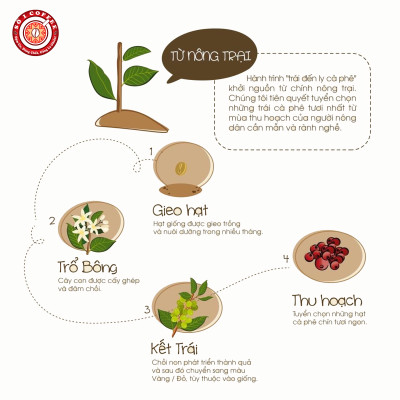 [SỐ 1 COFFEE] Cà Phê Nguyên Chất ESPRESSO Pha Máy Từ Những Hạt Cà Phê Ngon Thượng Hạng, Sạch 100% Vị Thanh Tao, Tinh Tế, Đạt Tiêu Chuẩn Xuất Khẩu - Túi  500gam