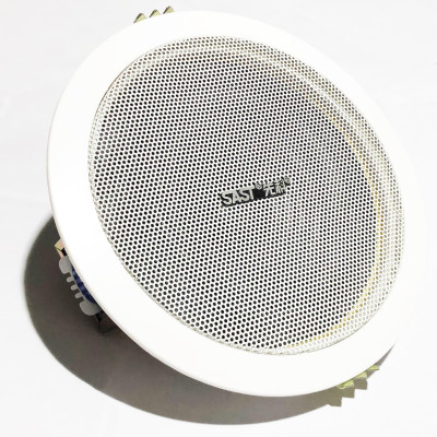 Loa Âm Trần SAST Công Suất 6W Kích Thước 5 inch Mặt Tròn Lưới Mịn PD - Hàng Nhập Khẩu