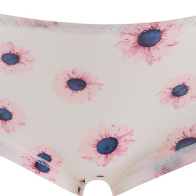 Combo 10 Quần Lót Su Đúc Lanh Hoa Cao Cấp QL03