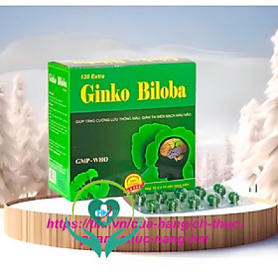 Viên uống Ginkgo Biloba 120mg Vinapharco , hộp 100v, tăng cường tuần hoàn não
