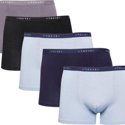 Combo 10 quần lót nam dạng đùi cạp chữ (Mẫu 242)