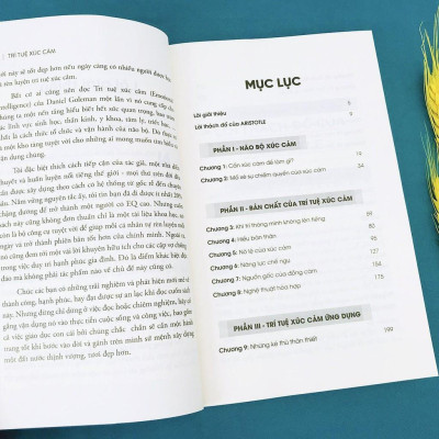 Sách Trí Tuệ Xúc Cảm (Tái bản Mới Nhất) - Alphabooks - BẢN QUYỀN