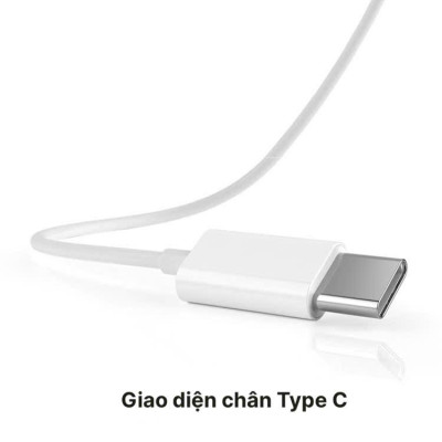 Tai nghe Rio Tinto Lip-Top A30 chân cắm Type C, check QR tra hàng chính hãng, có Micro và nút nhận cuộc gọi