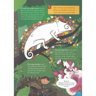 Sách - Combo Khám Phá Rừng Già Động Vật Hoang Dã + Du Hành Ngược Thời Gian Đến Xứ Sở Khủng Long - First News