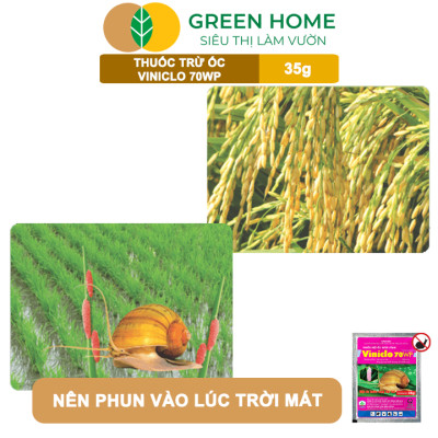 Thuốc Diệt Ốc Bươu Vàng Viniclo 70WP, GreenHome, Gói 35gr, Diệt Sạch Ốc, An Toàn Cho Lúa
