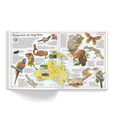 Sách - Atlas Động Vật - Đông A