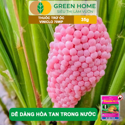 Thuốc Diệt Ốc Bươu Vàng Viniclo 70WP, GreenHome, Gói 35gr, Diệt Sạch Ốc, An Toàn Cho Lúa