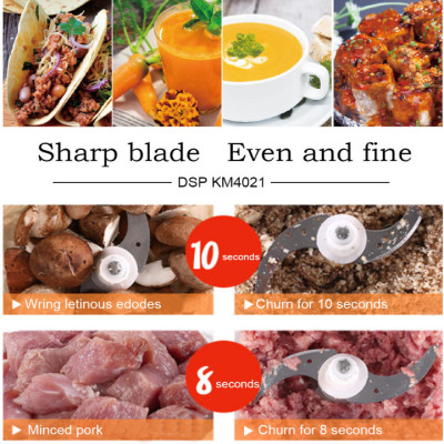 Máy xay thịt 2 lưỡi kép nhãn hiệu DSP KM4021 công suất 300W, dung tích chứa 2 lít - Hàng Nhập Khẩu