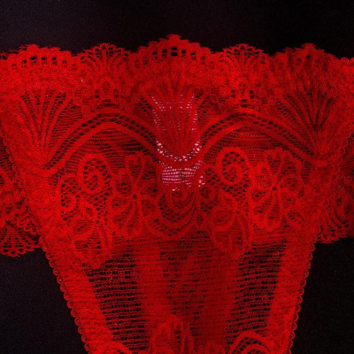 Quần Lót Lọt Khe Chất Liệu Ren Cao Cấp Phong Cách Châu Âu kiểu dáng Sexy WL23