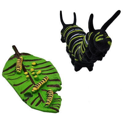 Đồ Chơi Mô Hình Vòng Đời Tự Nhiên - Bướm Lớn Lên Như Thế Nào? - Firstar DK81253