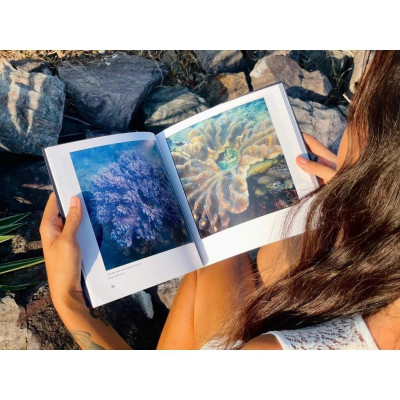 Sách - Khám Phá Việt Nam Xanh - A Touch Of Vietnam - Hành Tinh Biển - Planet Ocean - Song Ngữ Việt-Anh