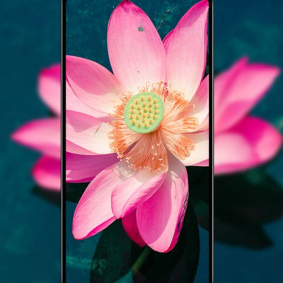 MIẾNG DÁN CƯỜNG LỰC MIPOW KINGBULL 3D IPHONE 11 PRO MAX/XS MAX BJ112 - ĐEN CHÍNH HÃNG