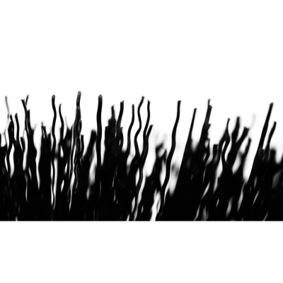 Bàn Chải Vỏ Xe Và Líp Xe Muc Off Tyre & Cassette Brush