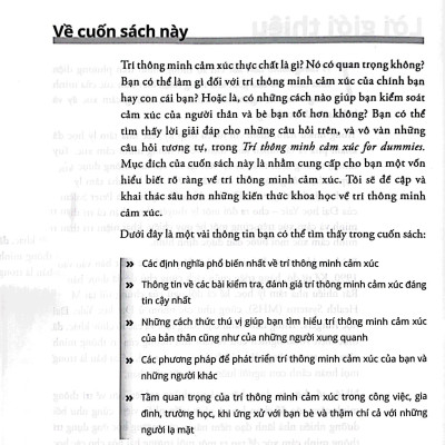 Trí Thông Minh Cảm Xúc For Dummies
