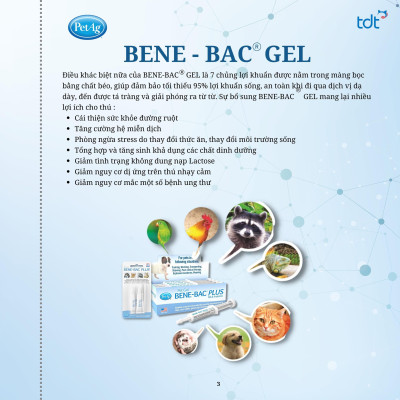 [ 15G ] MEN VI SINH DẠNG GEL - BENE-BAC GEL BỔ SUNG LỢI KHUẨN&TĂNG CƯỜNG MIỄN DỊCH CHO CHÓ MÈO